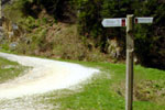 Signpost