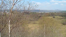 Yr olygfa o fynydd Gribarth Yr olygfa o fynydd Gribarth