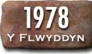 Blwyddyn