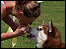 Girl and dog by James Passas