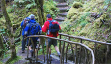 Rustic bridge