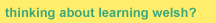 thinking about learning Welsh?
