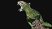 'Leopliz' (Foto: Worth1000.com)