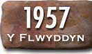 Blwyddyn