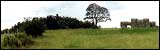 Lickey Hills 2