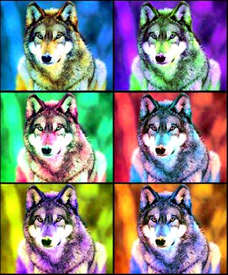 Wolf