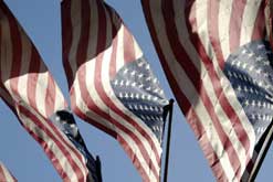 American flags