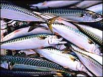 peixe