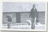 Lleweni