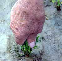 hand.