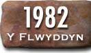 Blwyddyn