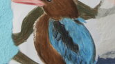 Colourful kingfisher... Colourful kingfisher...