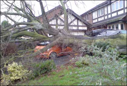 A car crushed by a tree in Kidderminster