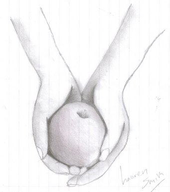 Twilight book cover