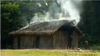 Indigenous Peoples in the Amazon Rainforest