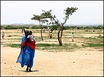 دارفور