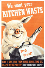 Postair "We want your kitchen waste"