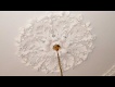 Interior ceiling Rose.