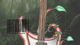 Jungle bass Jungle bass