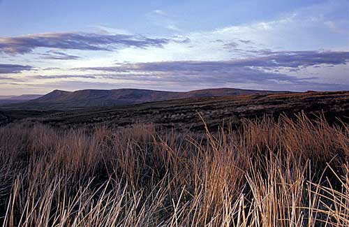 Benbradagh in the distance from Feeny Road