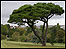 Pounds Park, Plymouth