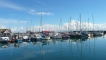 Anstruther marina.
