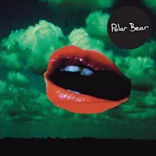 Review of Polar Bear