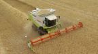 History of Farming