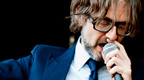 Pulp
