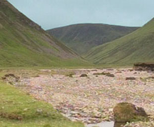 Gàdhaig
