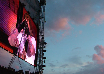 The Crowd