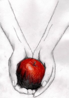 Twilight