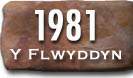 Blwyddyn