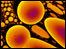 Micro_Cosmos by Paul Gunning