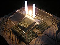 Moth trap