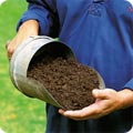 Peat