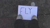 Fly