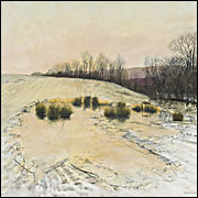 The field in frost