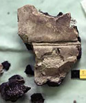 Image of Iron Age pottery fragment