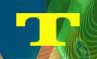 T1