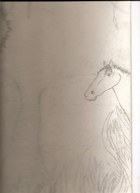 Horse