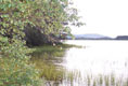 Loch Gartain