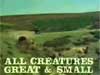 James Herriot and old cars.