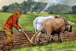 ploughing.