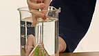 Arbrawf Ffotosynthesis