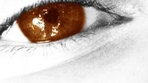 Eye Eye