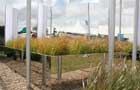 After Malevich - A Garden of Non-Objectivity