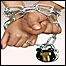 ازدواج اجباری