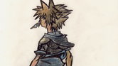 Sora,  kingdom...