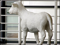 The soap sheep